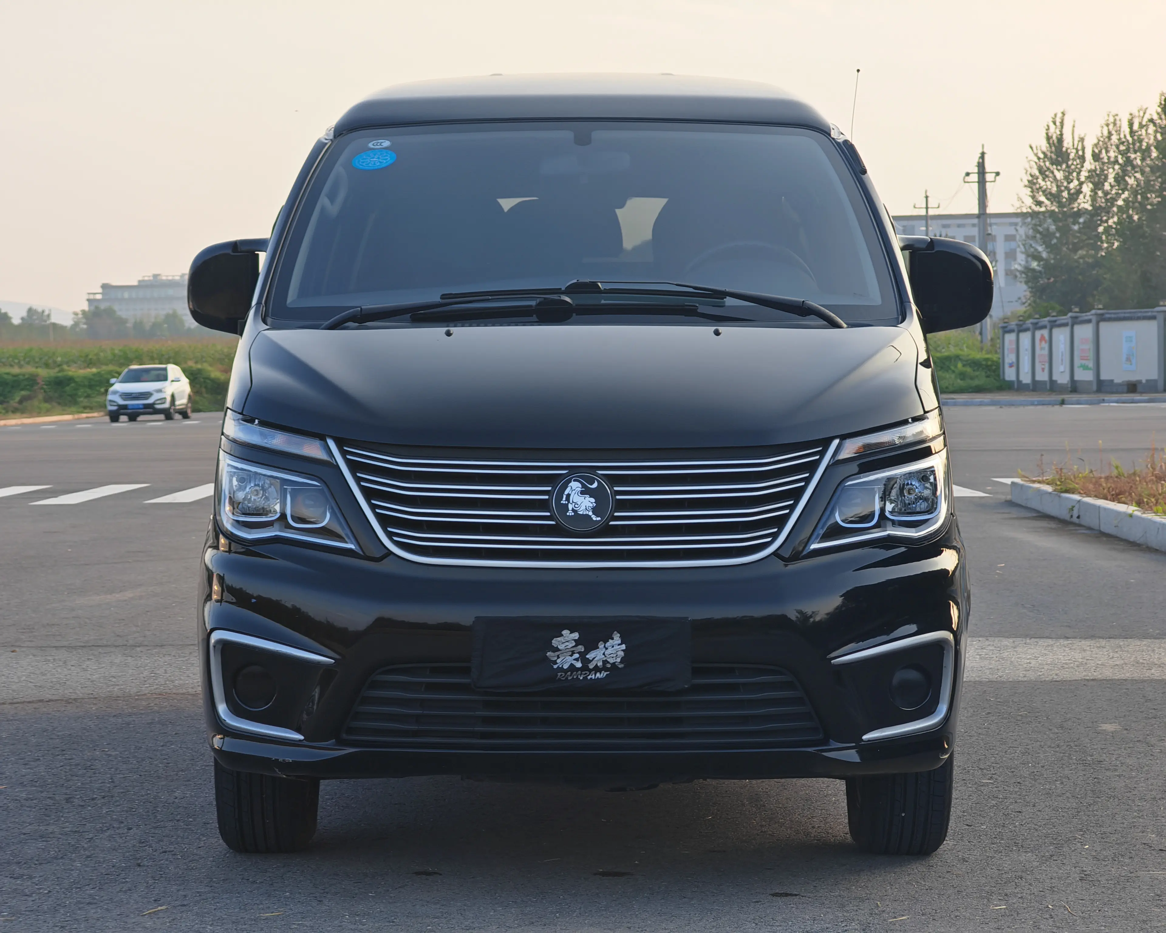 Forthing Lingzhi  из Китая