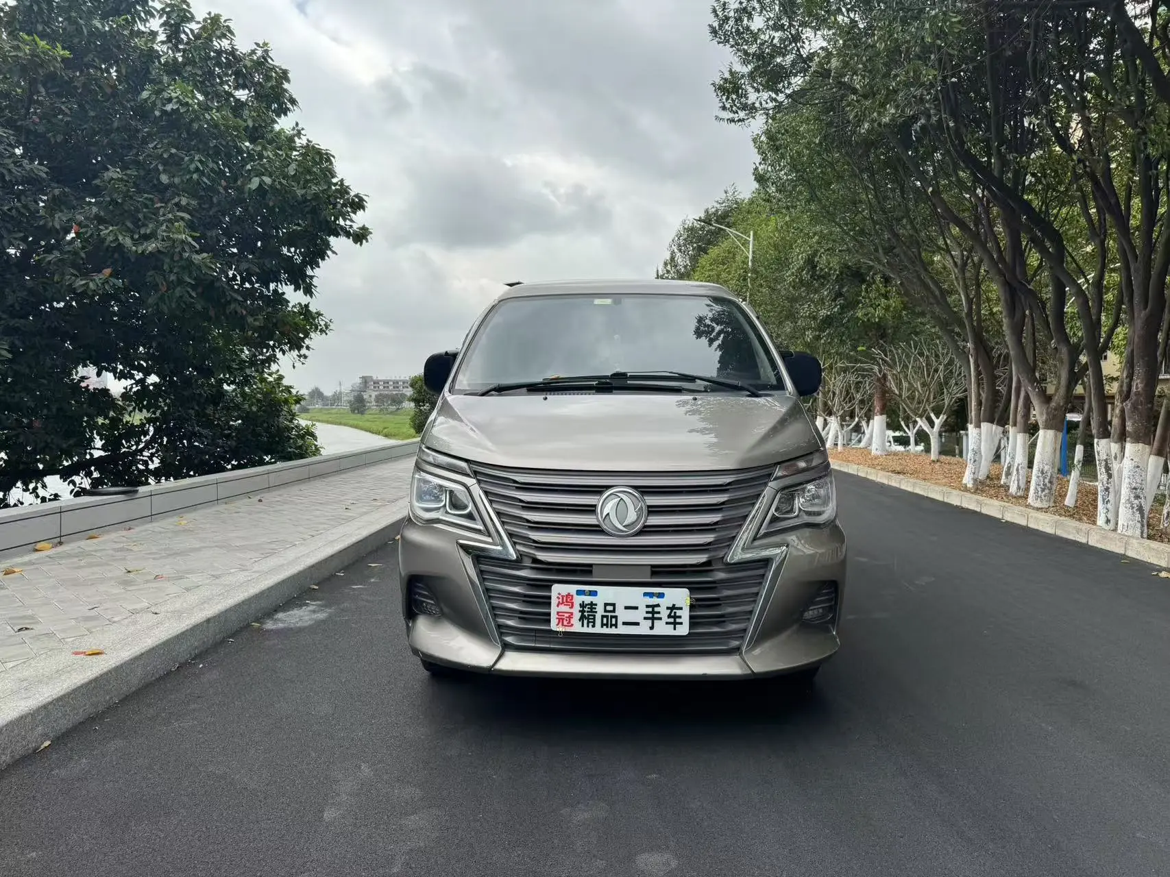 Forthing Lingzhi  из Китая