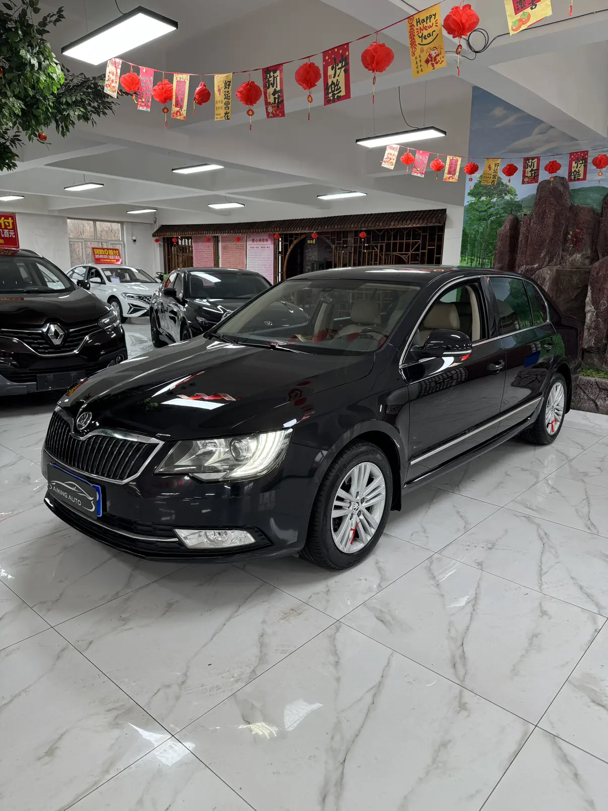 Skoda Speedy  из Китая