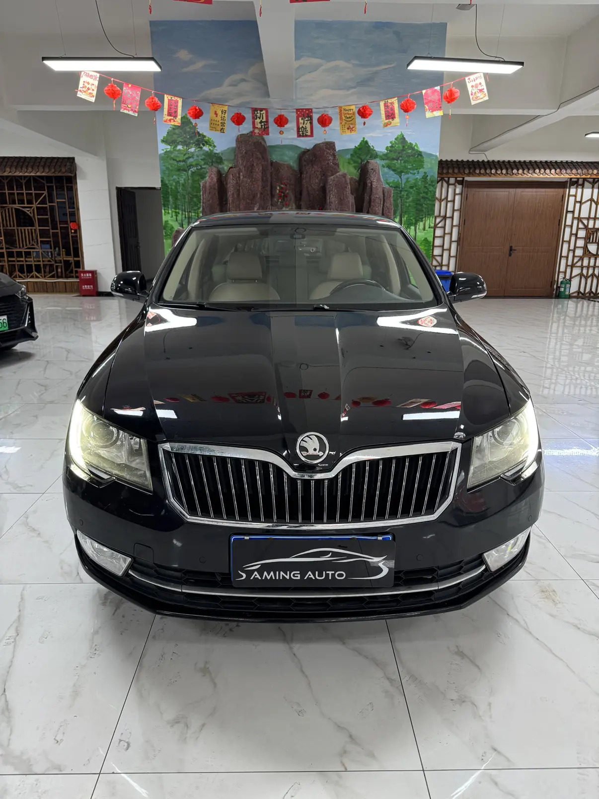 Skoda Speedy  из Китая