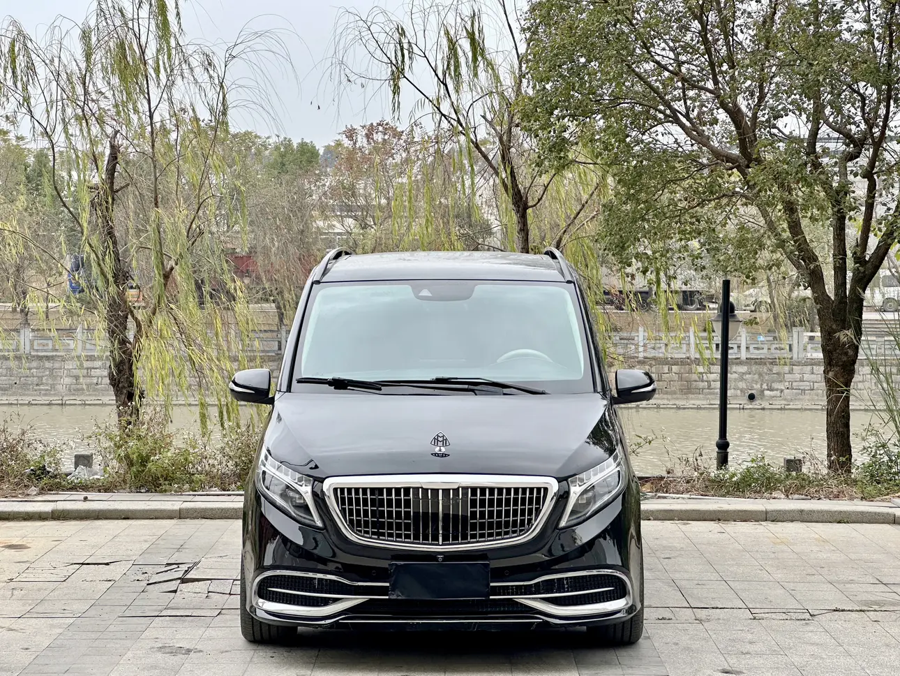 Mercedes-Benz Mercedes Benz V Class  из Китая