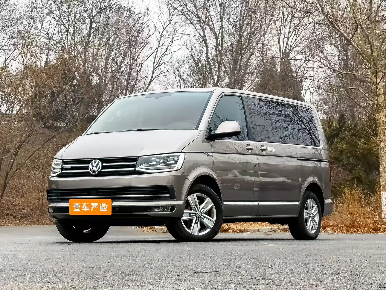 Volkswagen Metroway  из Китая