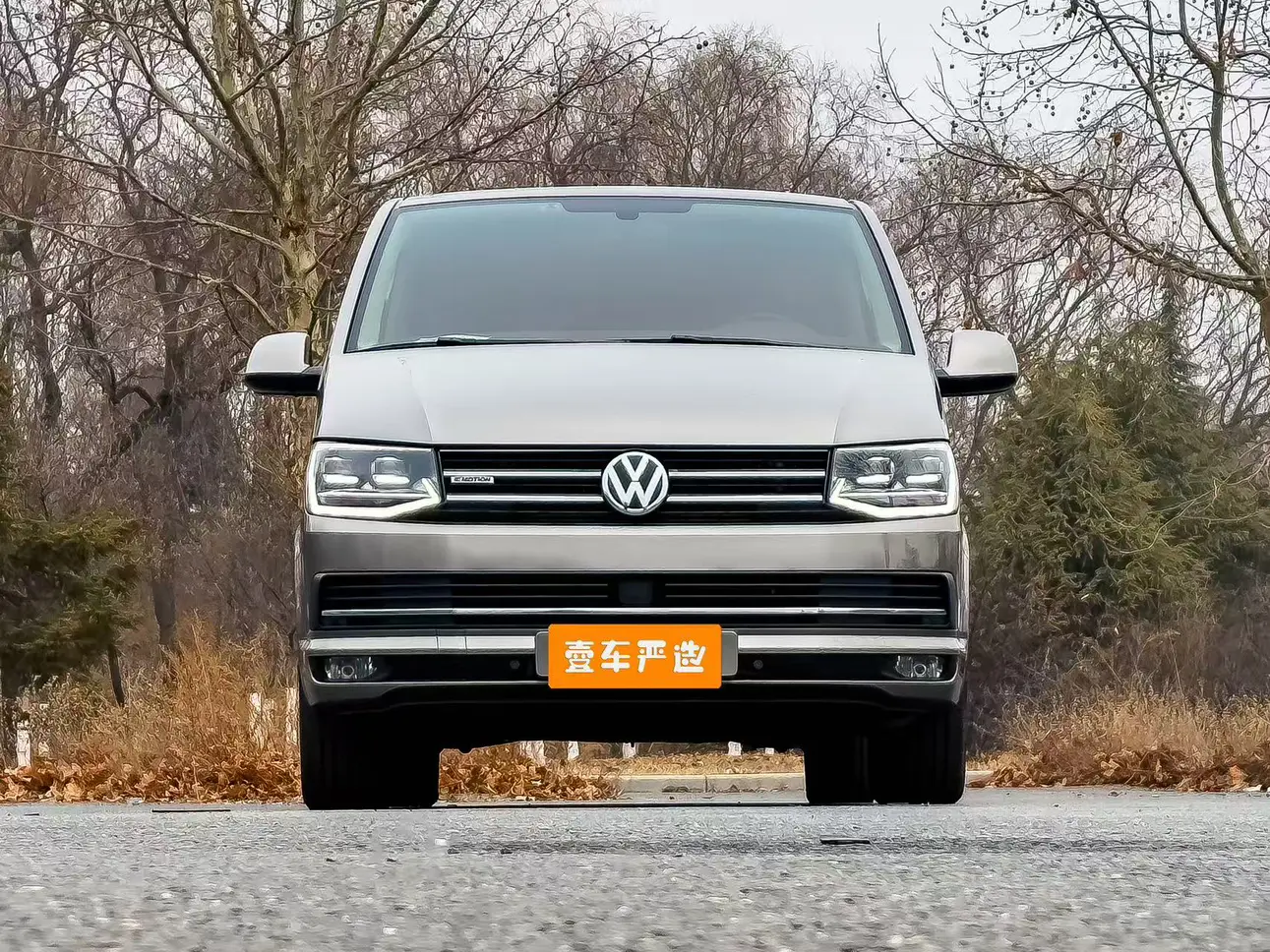 Volkswagen Metroway  из Китая