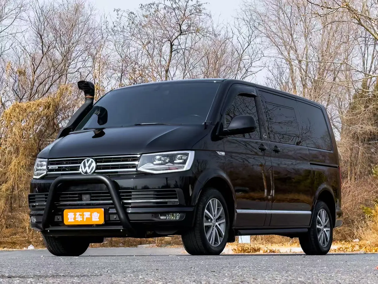 Volkswagen Metroway  из Китая