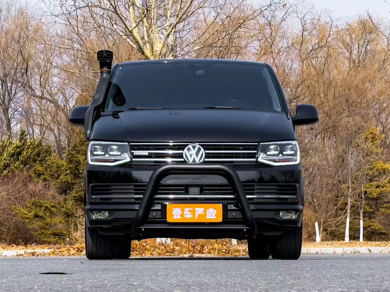 Volkswagen Metroway  из Китая