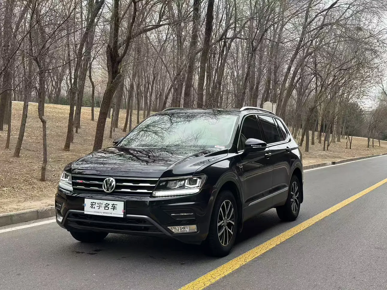Volkswagen Tiguan L  из Китая