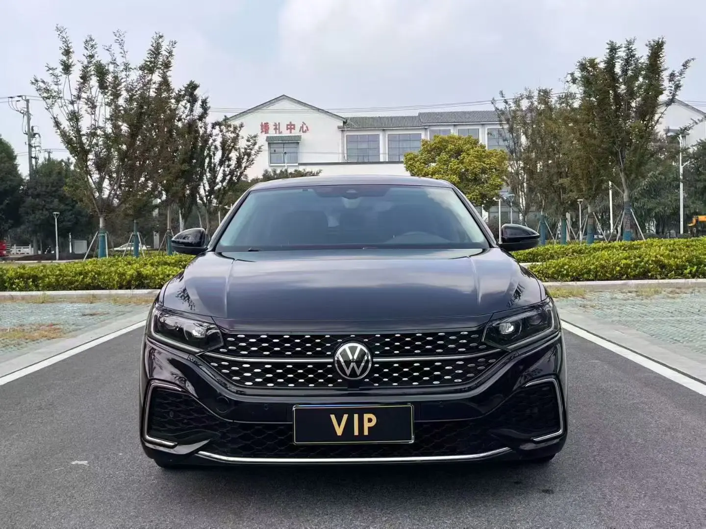 Volkswagen Passat  из Китая