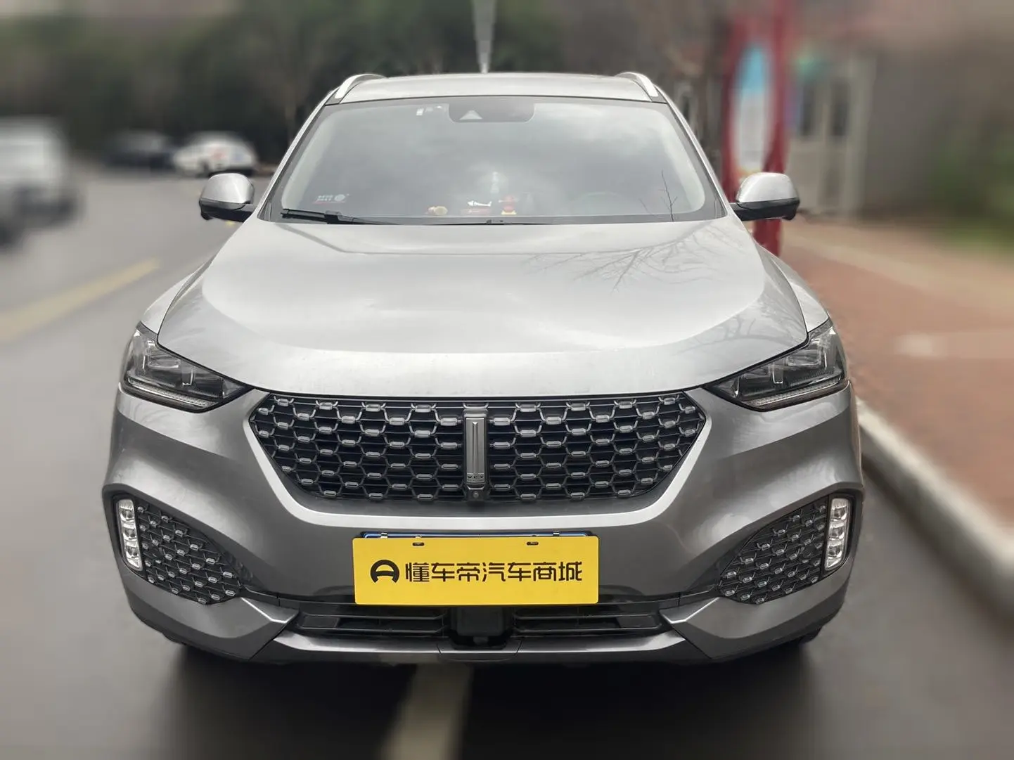 Wey Wei brand VV6