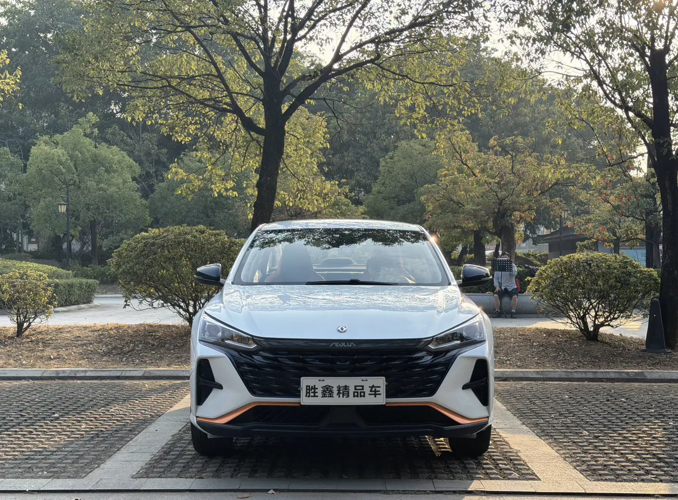 Dongfeng Yixuan  из Китая