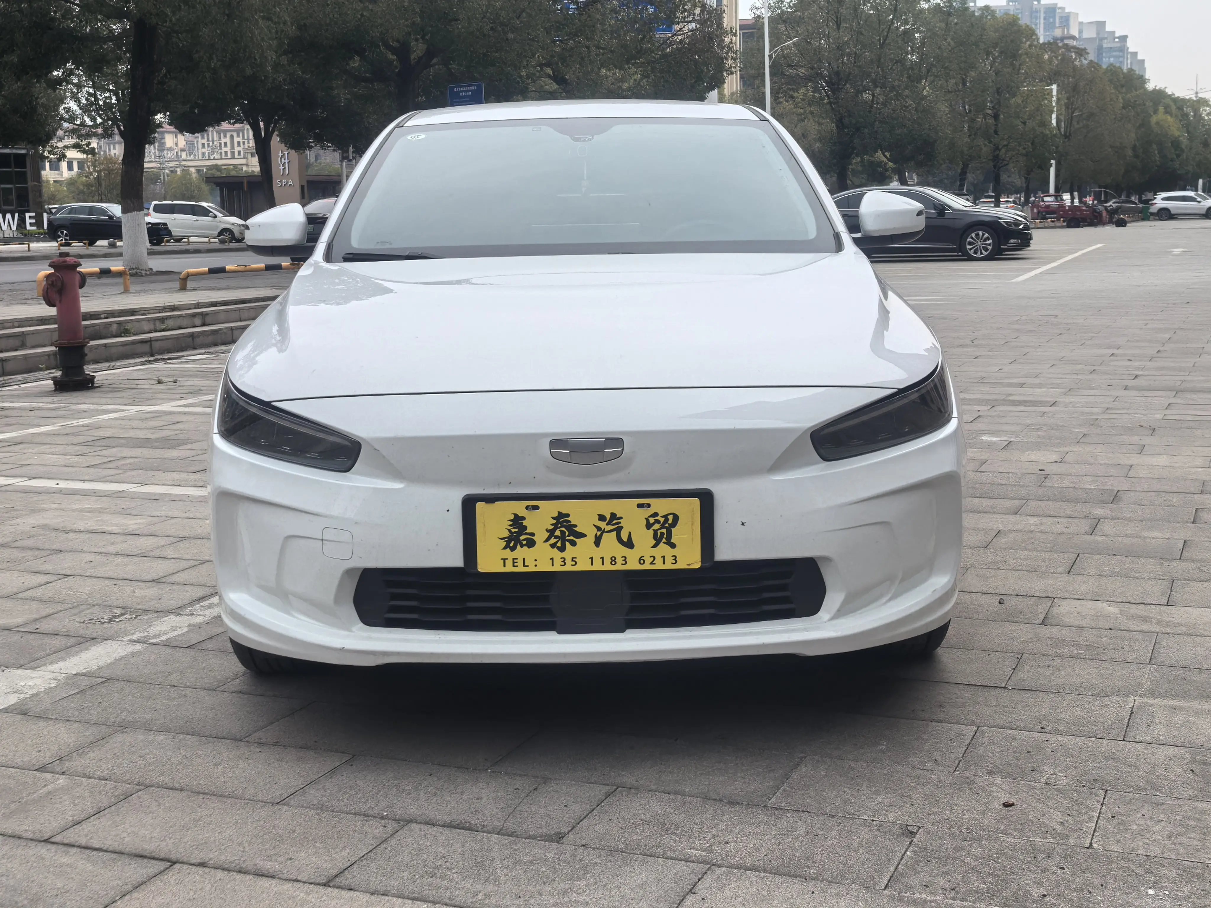 Geely Geometry A  из Китая