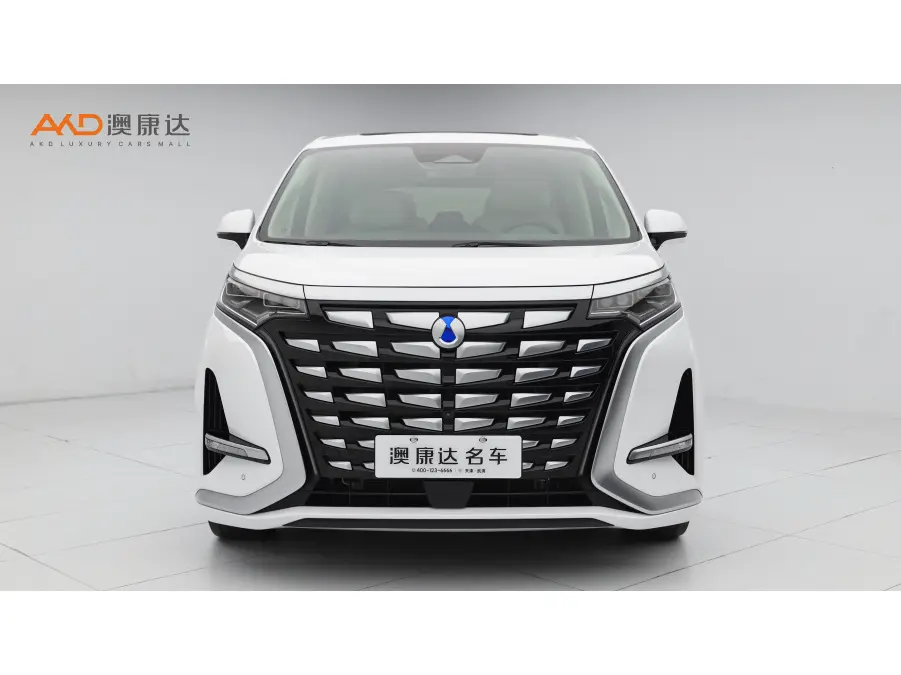 Denza D9 DM  из Китая