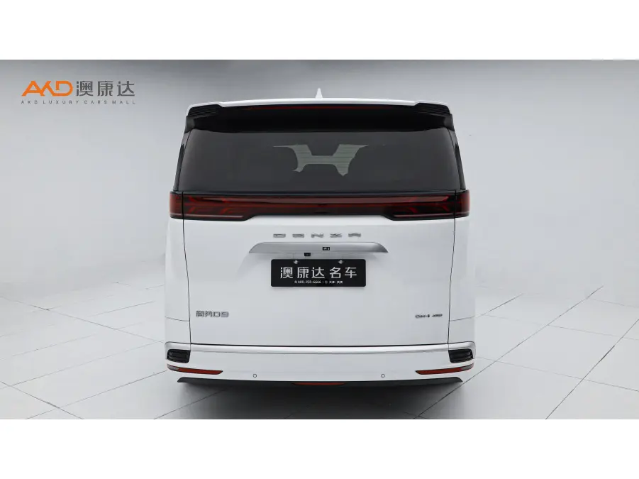 Denza D9 DM  из Китая