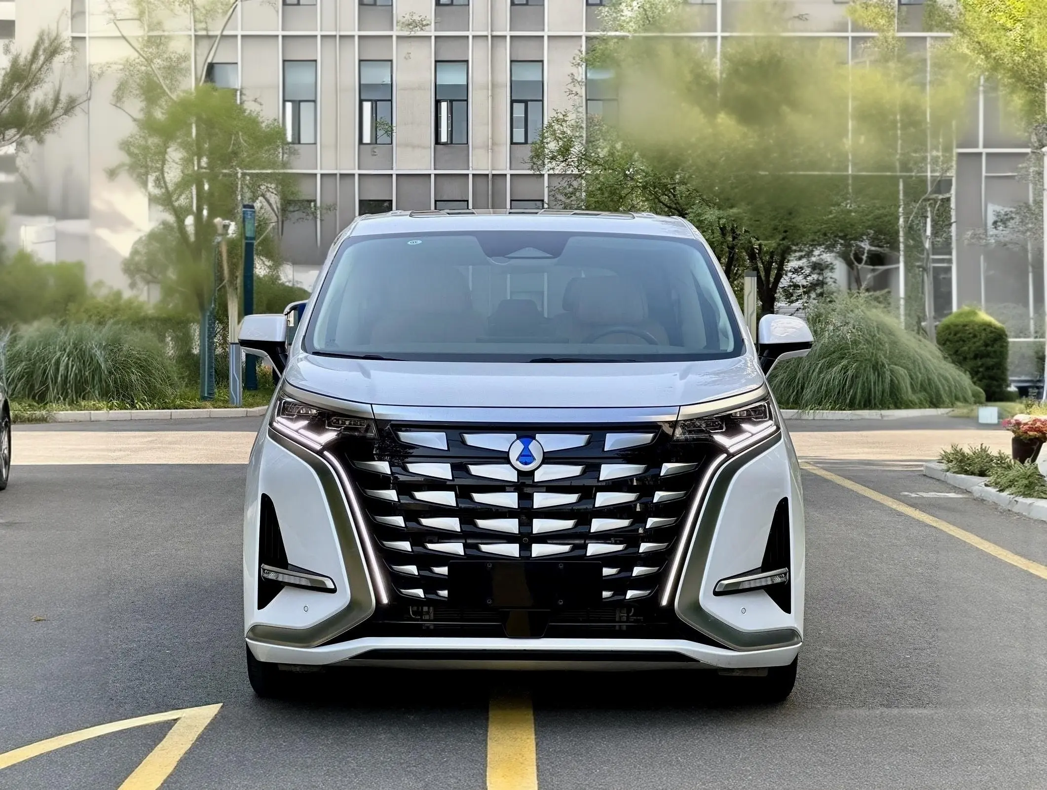 Denza D9 DM  из Китая