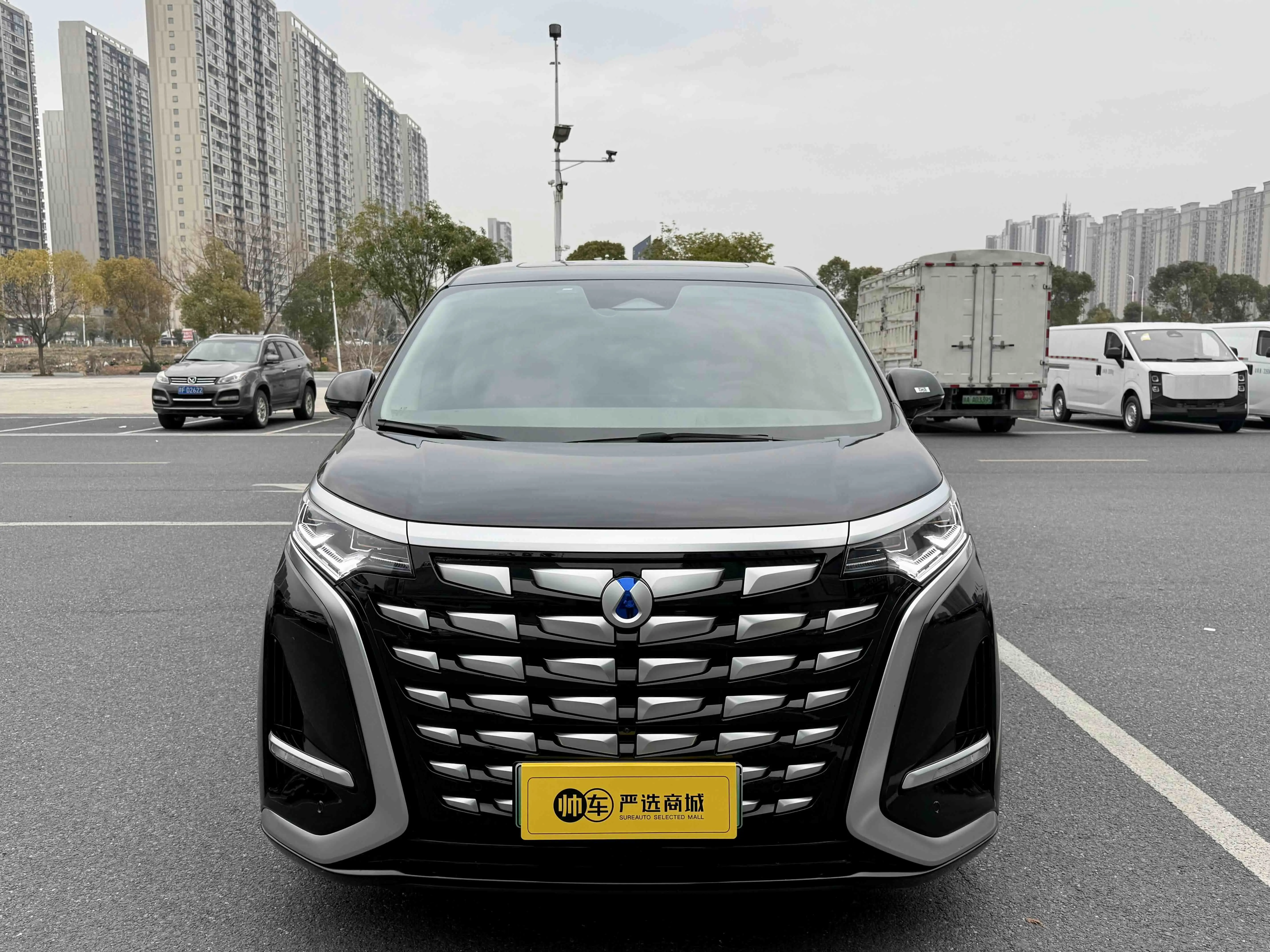 Denza D9 DM  из Китая