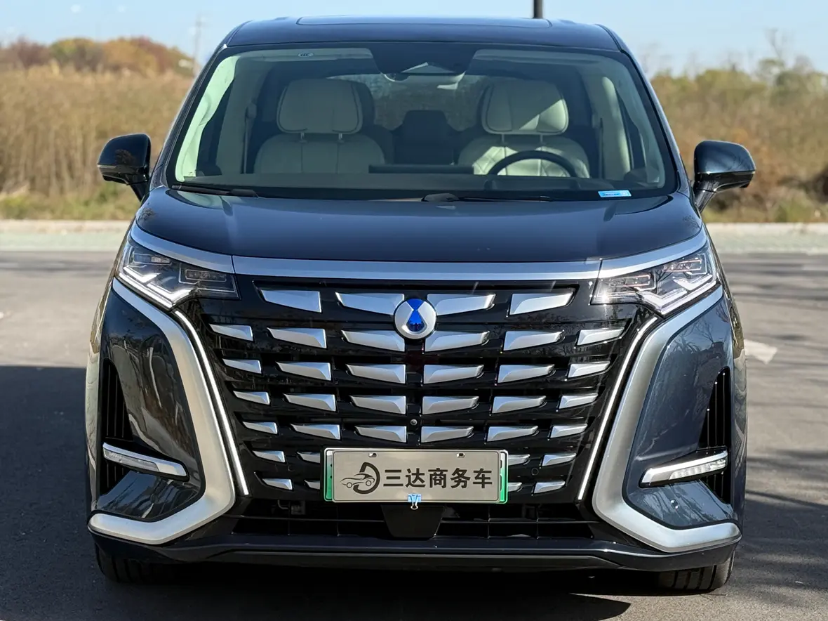 Denza D9 DM  из Китая