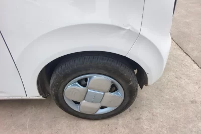 Geely panda