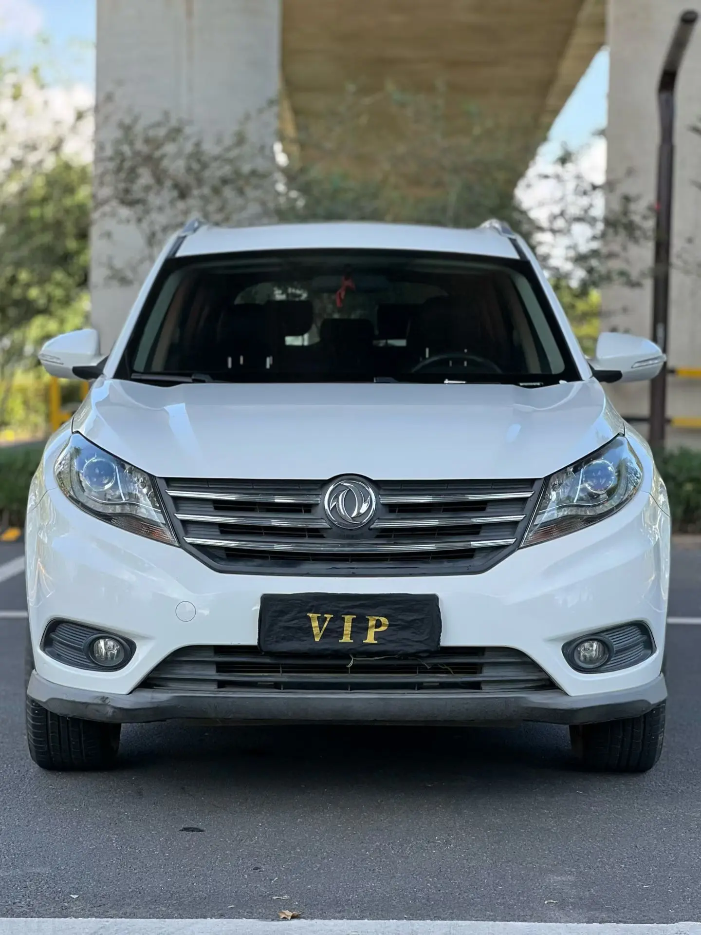 Dongfeng Fengon 580  из Китая
