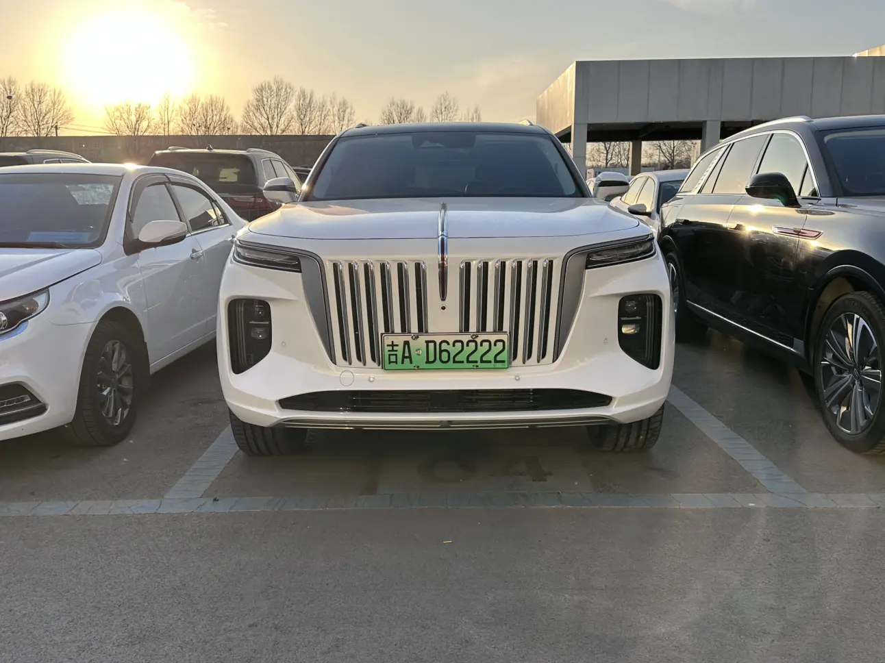 Hongqi E-HS9  из Китая