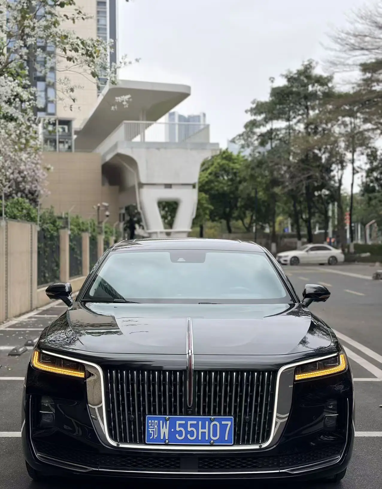 Hongqi H9  из Китая