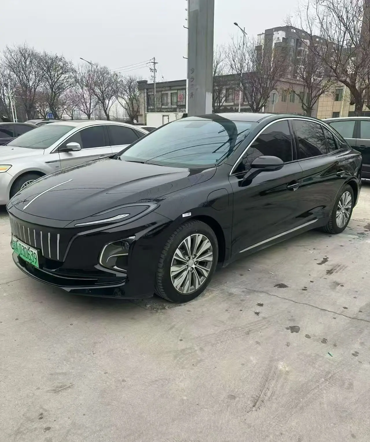 Hongqi E-QM5  из Китая
