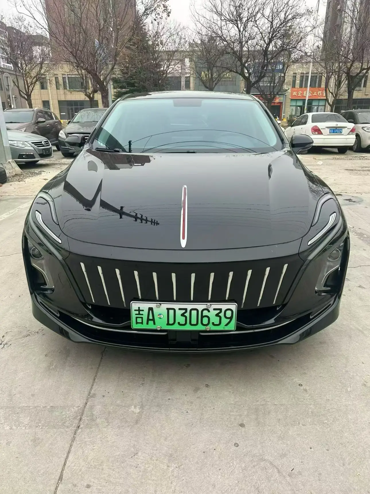 Hongqi E-QM5  из Китая