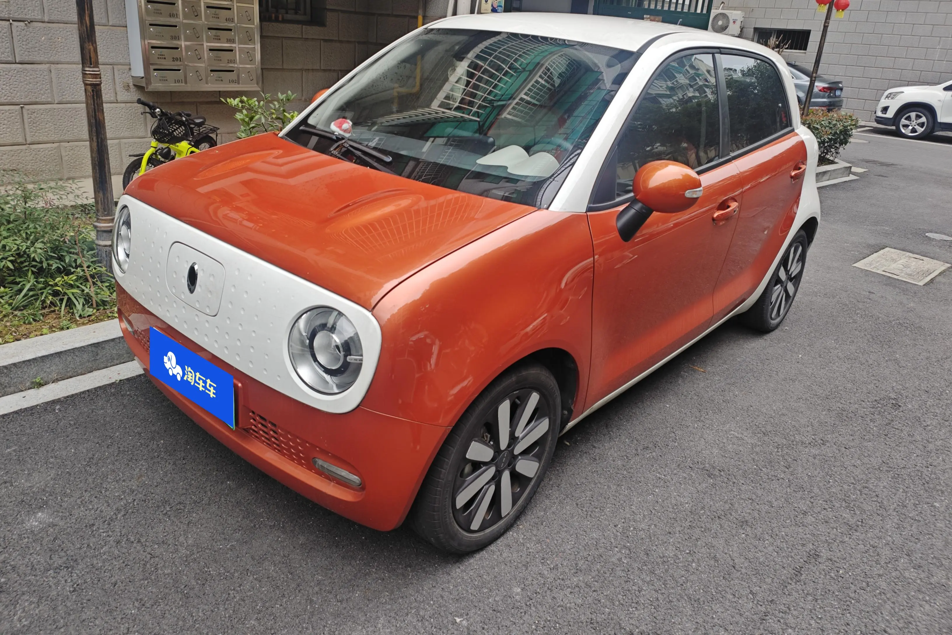 ORA Euler black cat  из Китая