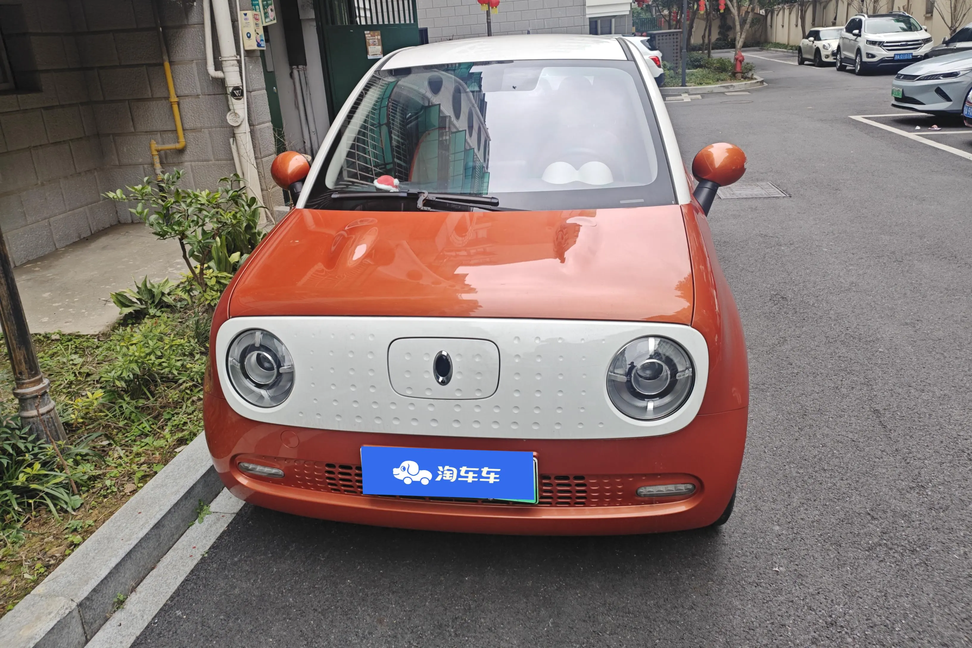 ORA Euler black cat  из Китая