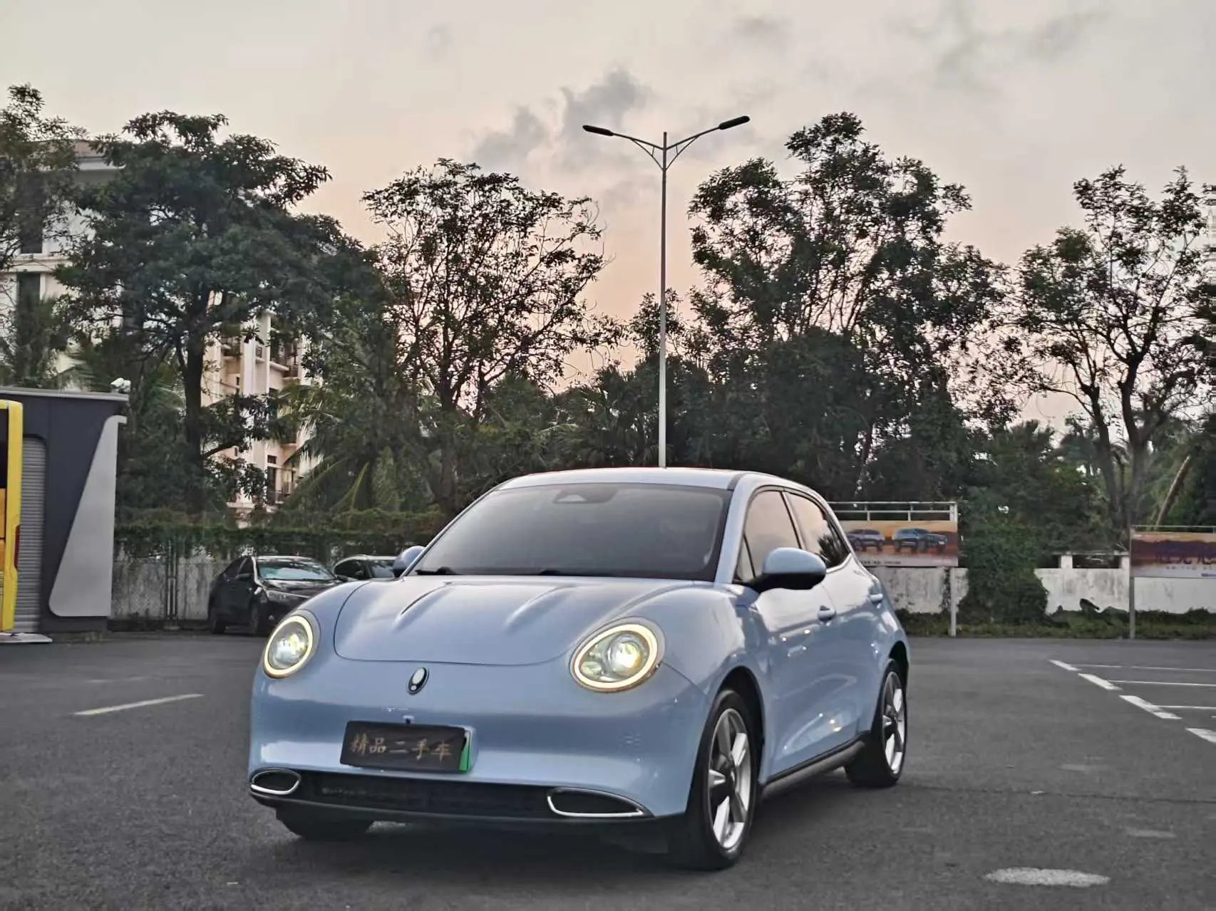 ORA Euler good cat  из Китая