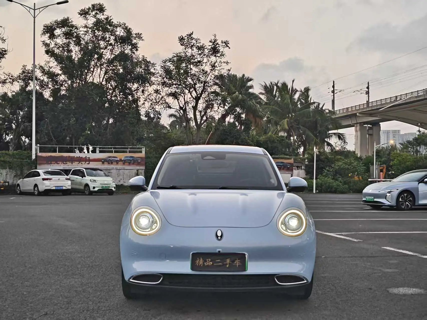 ORA Euler good cat  из Китая