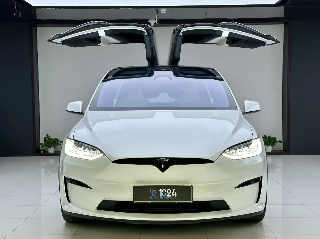 Tesla Model X  из Китая