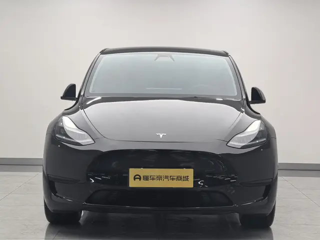 Tesla Model Y  из Китая