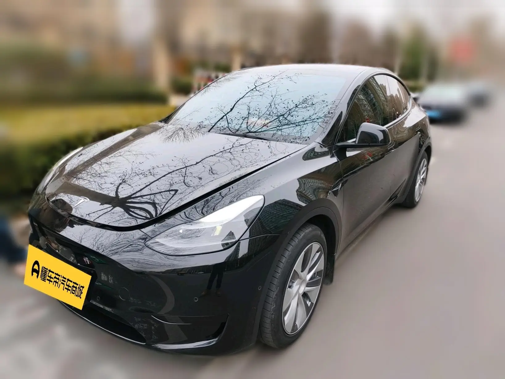 Tesla Model Y  из Китая