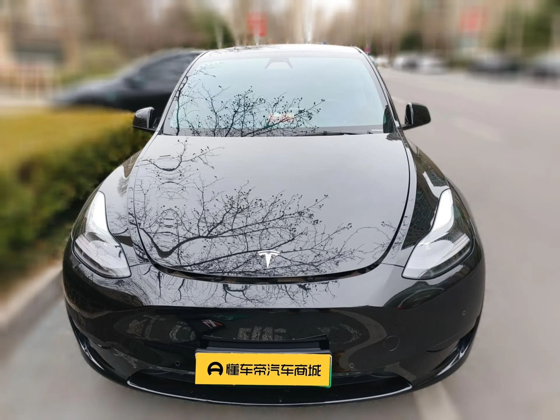 Tesla Model Y  из Китая