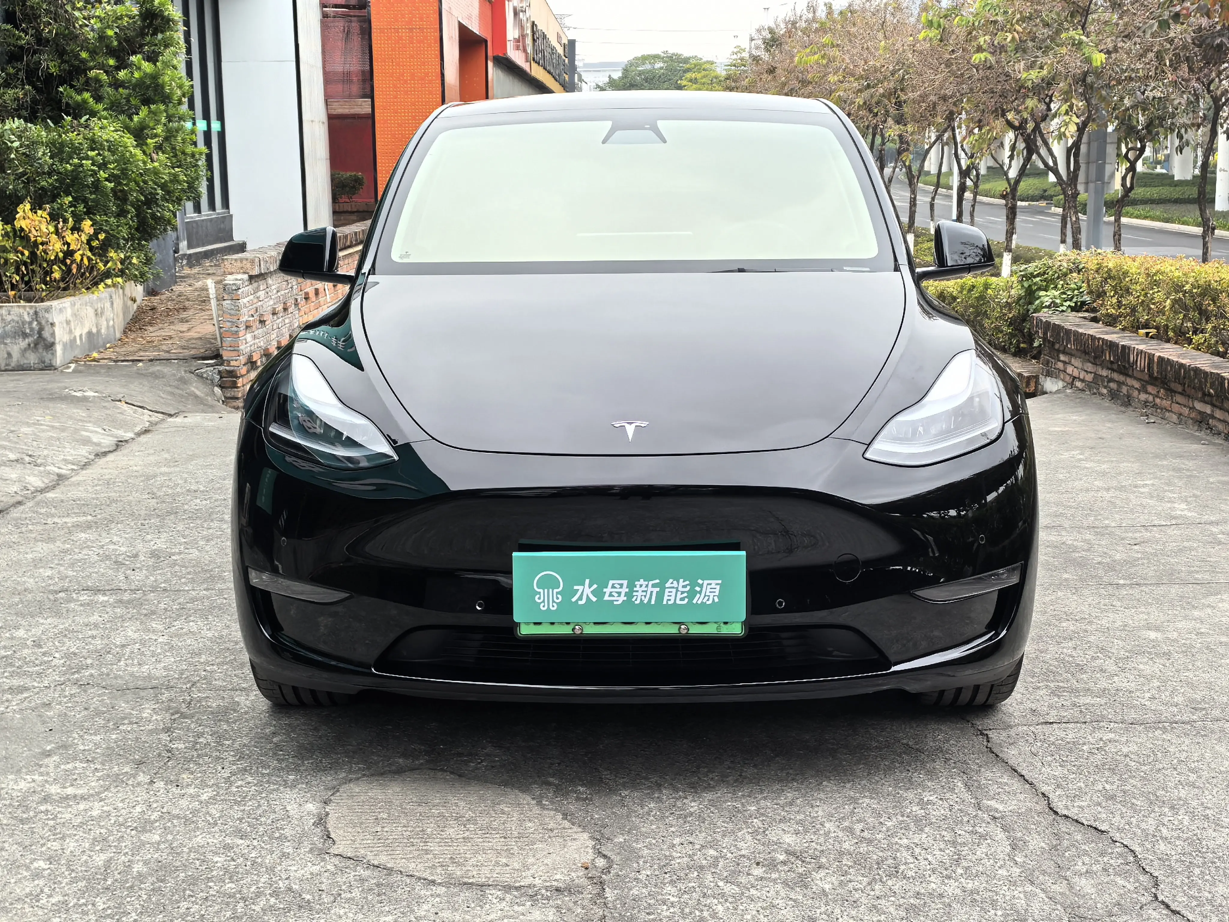 Tesla Model Y  из Китая