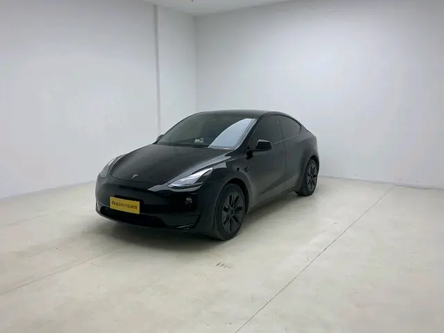 Tesla Model Y  из Китая