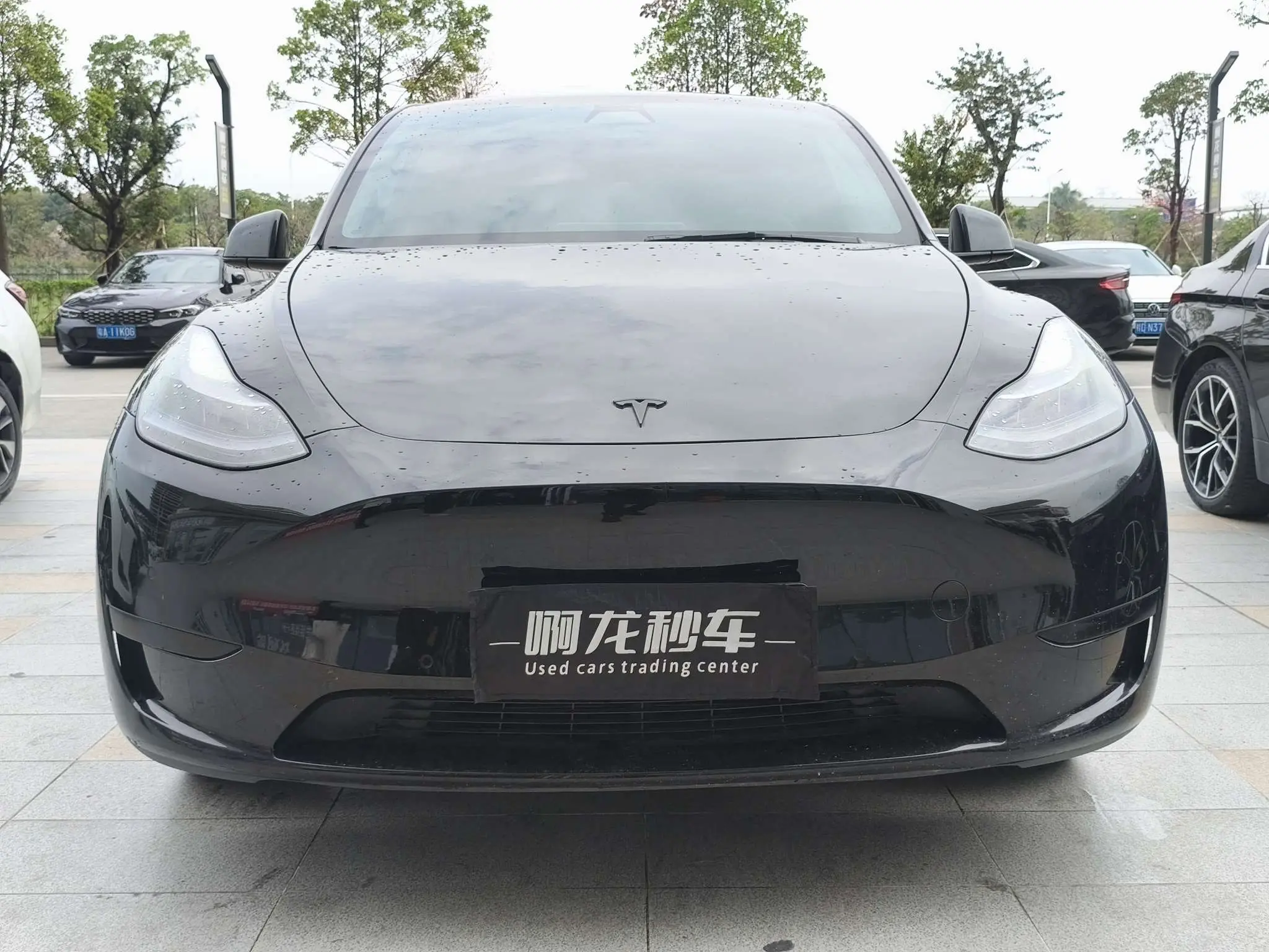 Tesla Model Y  из Китая