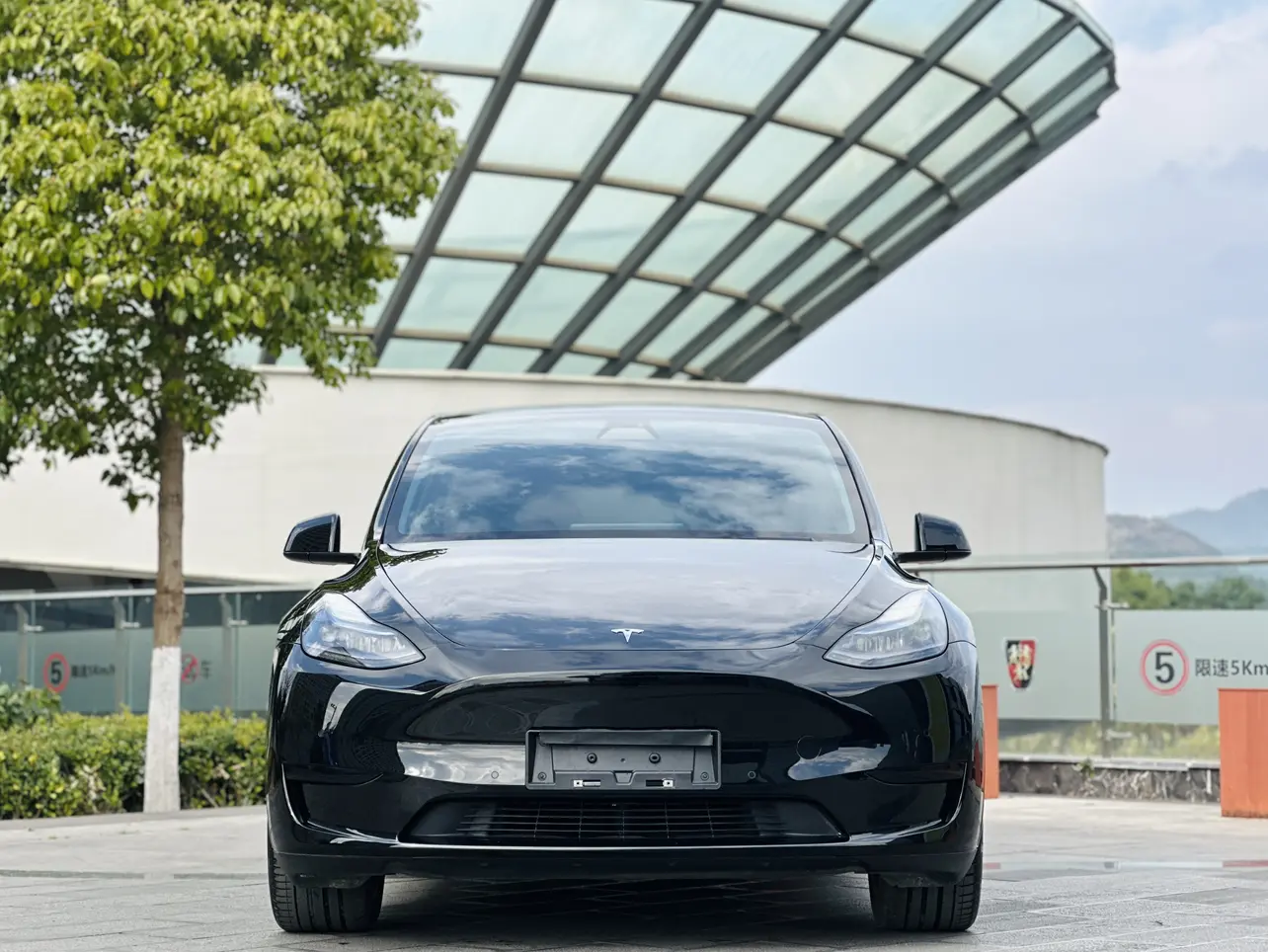Tesla Model Y  из Китая