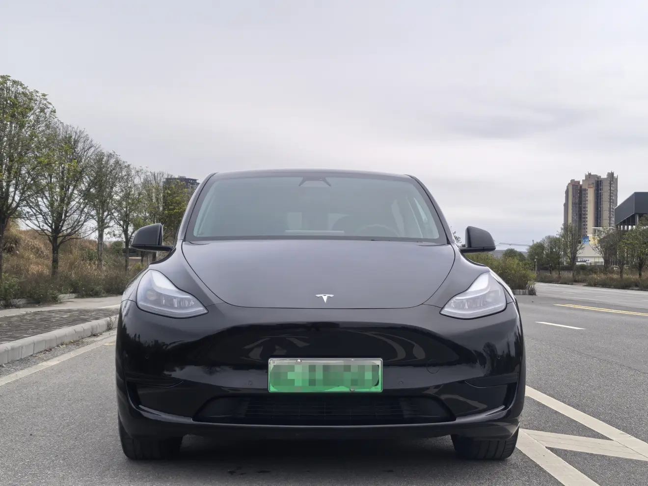 Tesla Model Y  из Китая