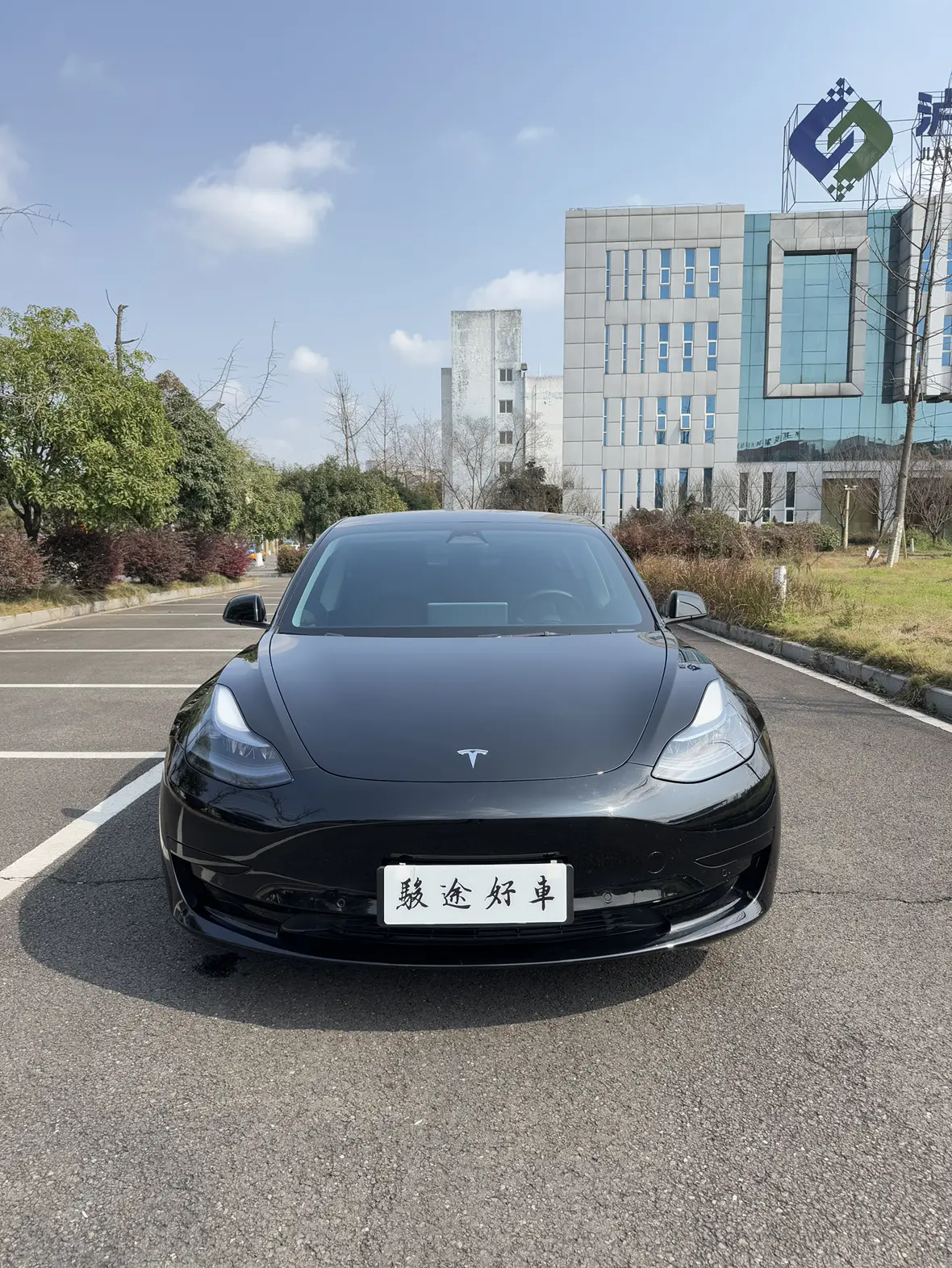 Tesla Model 3  из Китая