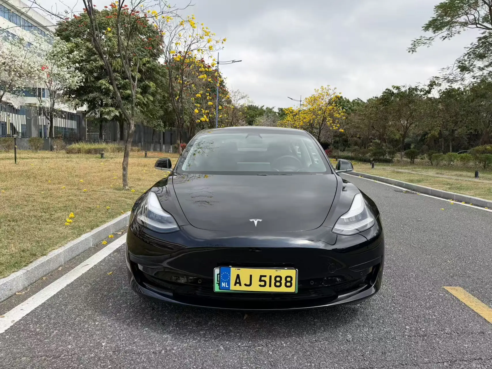 Tesla Model 3  из Китая