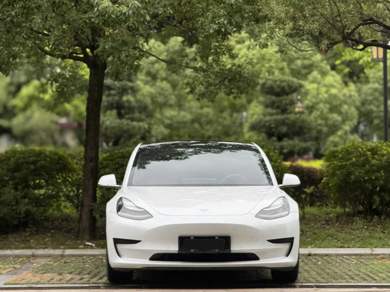 Tesla Model 3  из Китая