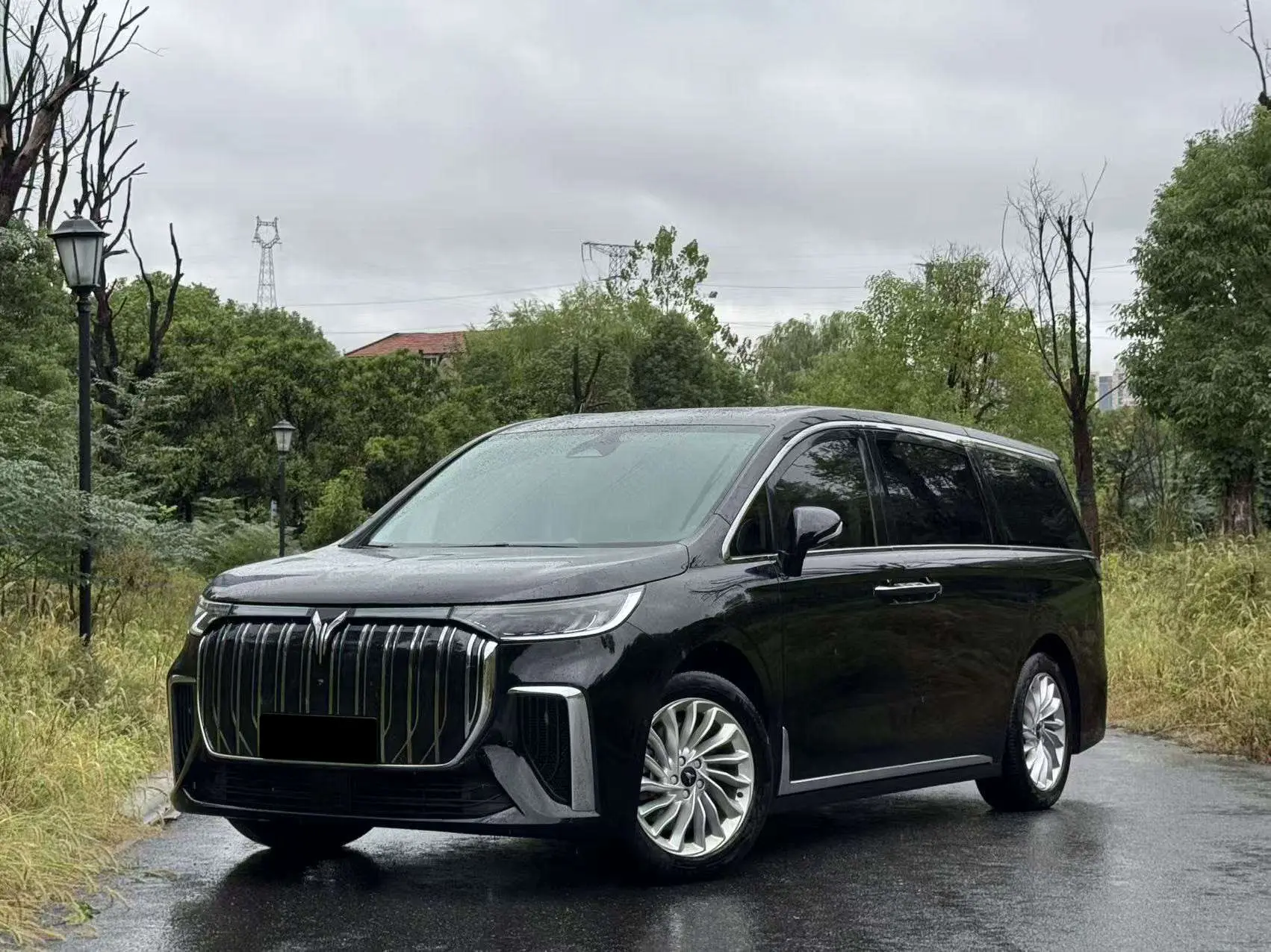 Voyah Lantu Dreamer EV  из Китая