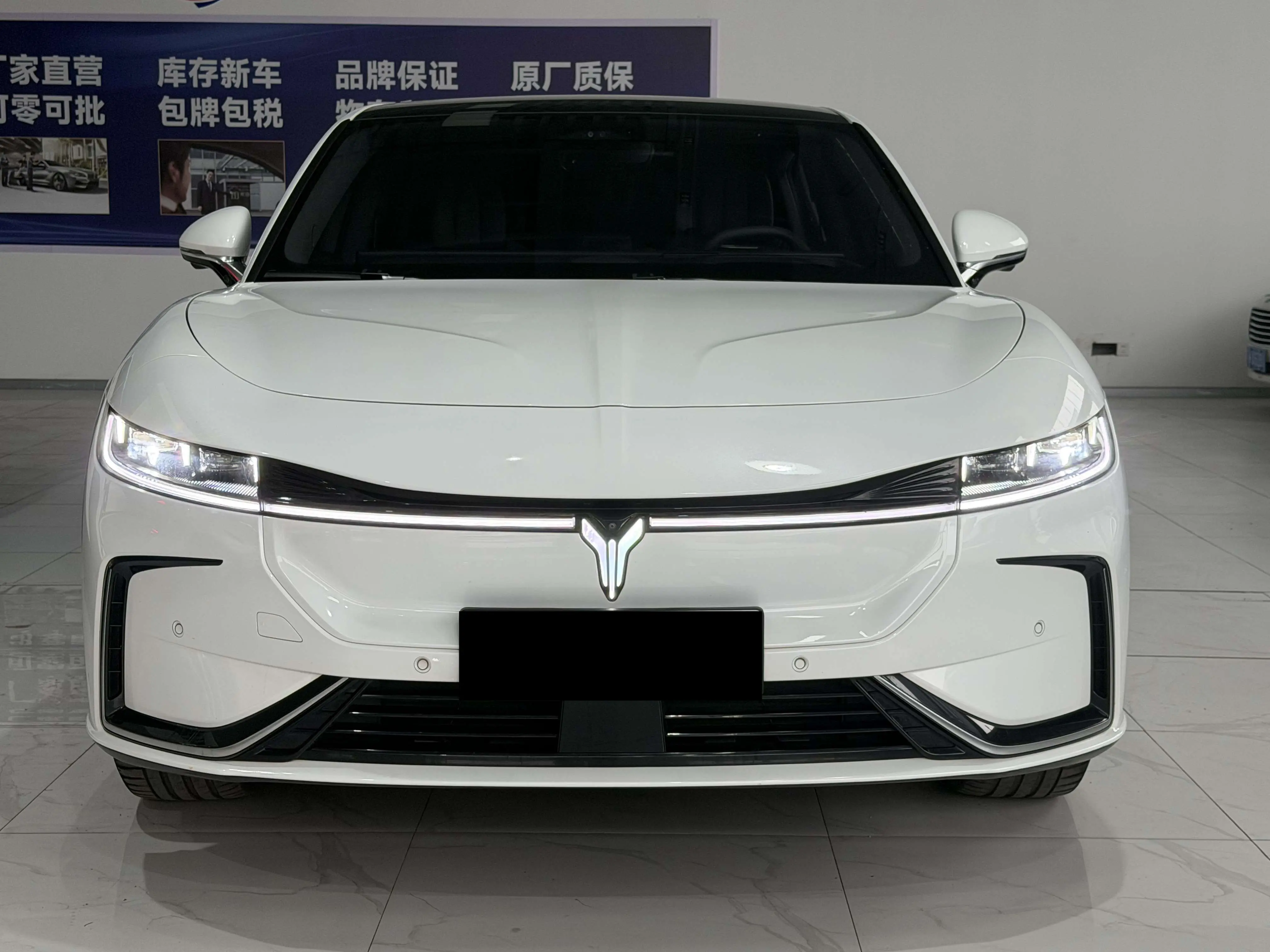 Voyah Passion EV  из Китая