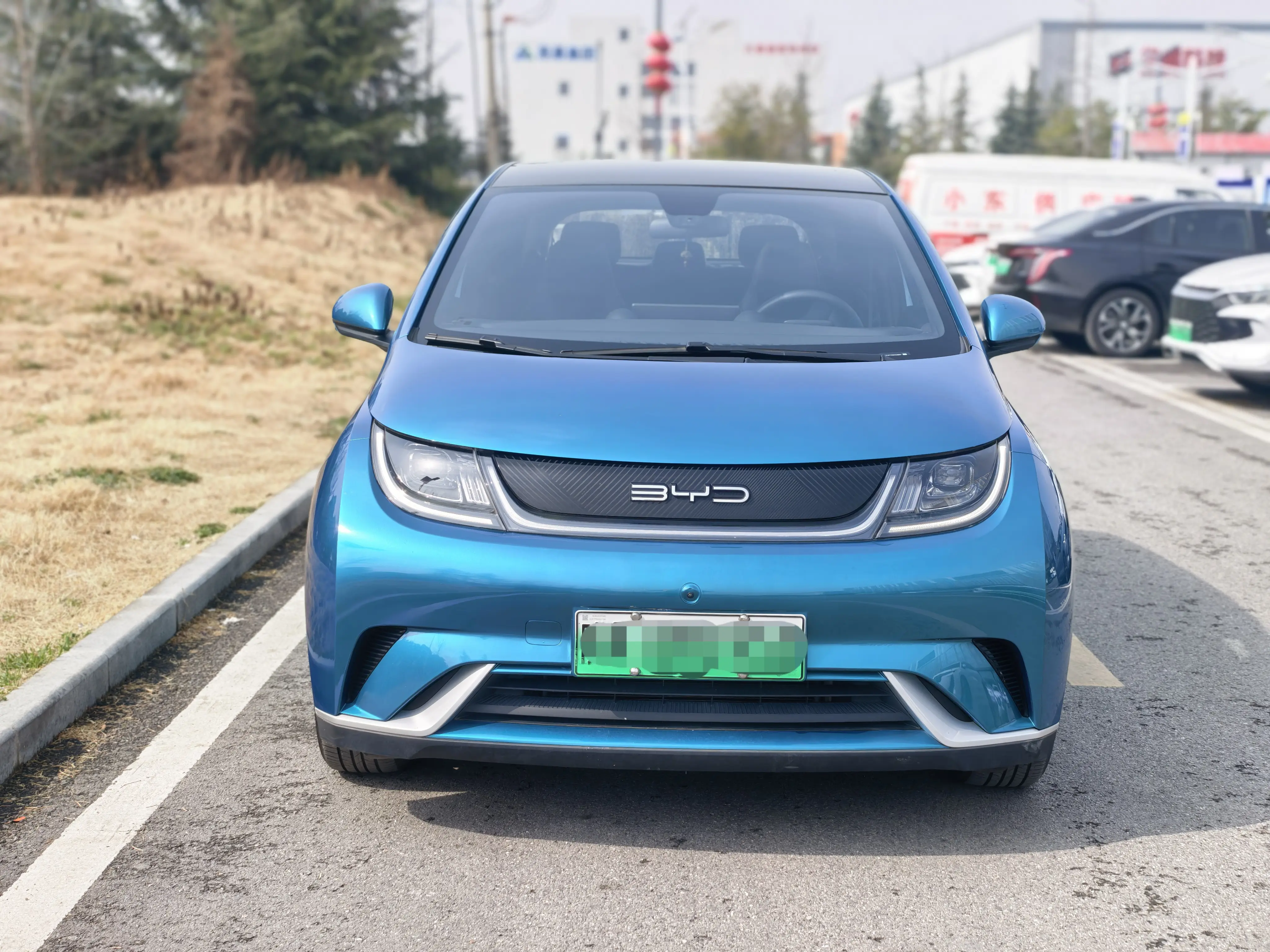 BYD Dolphin  из Китая