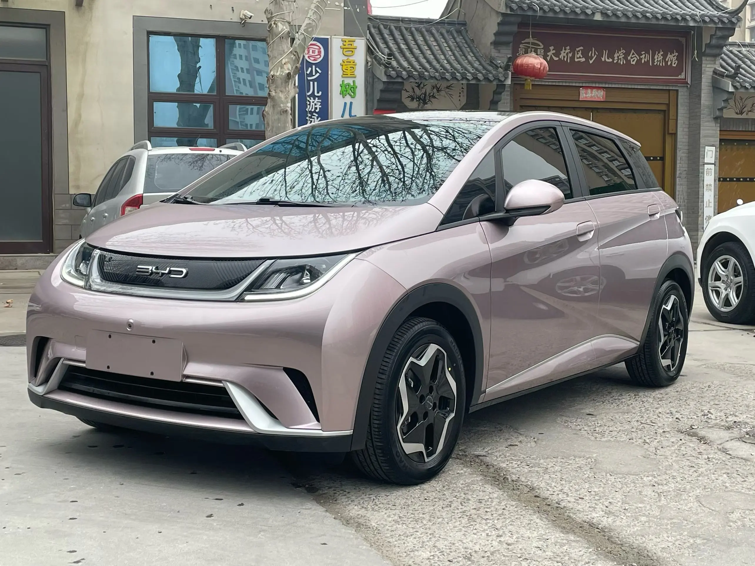 BYD Dolphin  из Китая