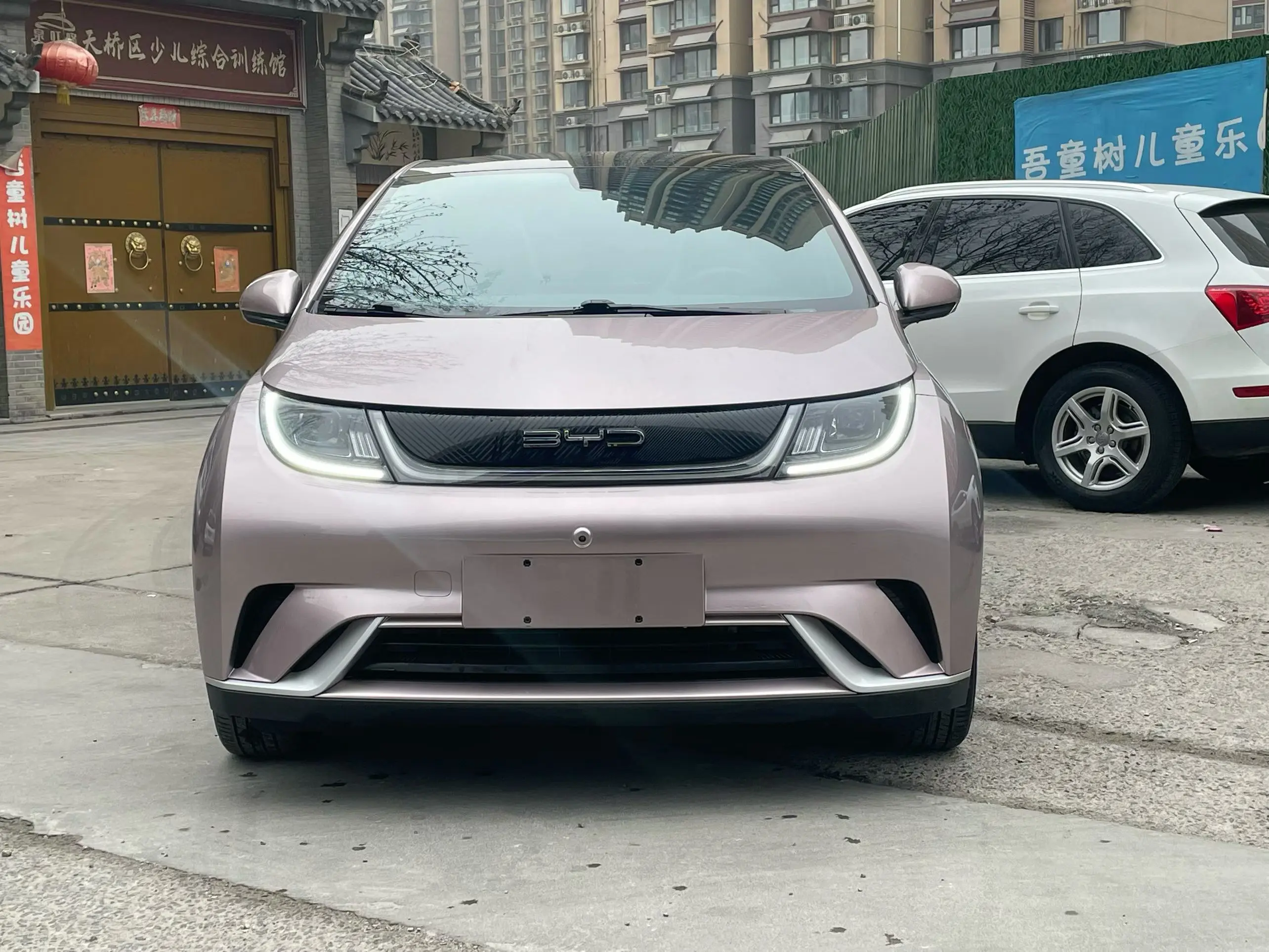 BYD Dolphin  из Китая