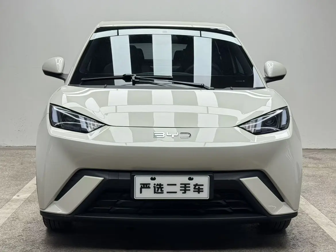 BYD Seagull  из Китая