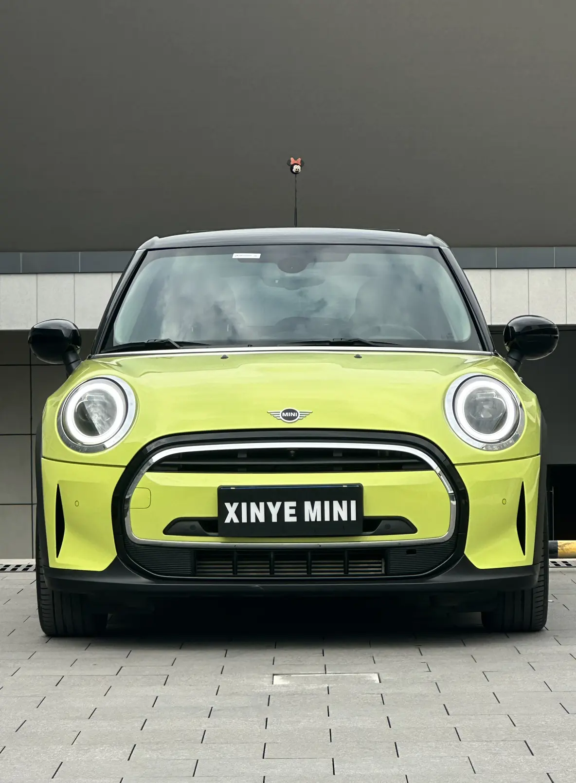 MINI 