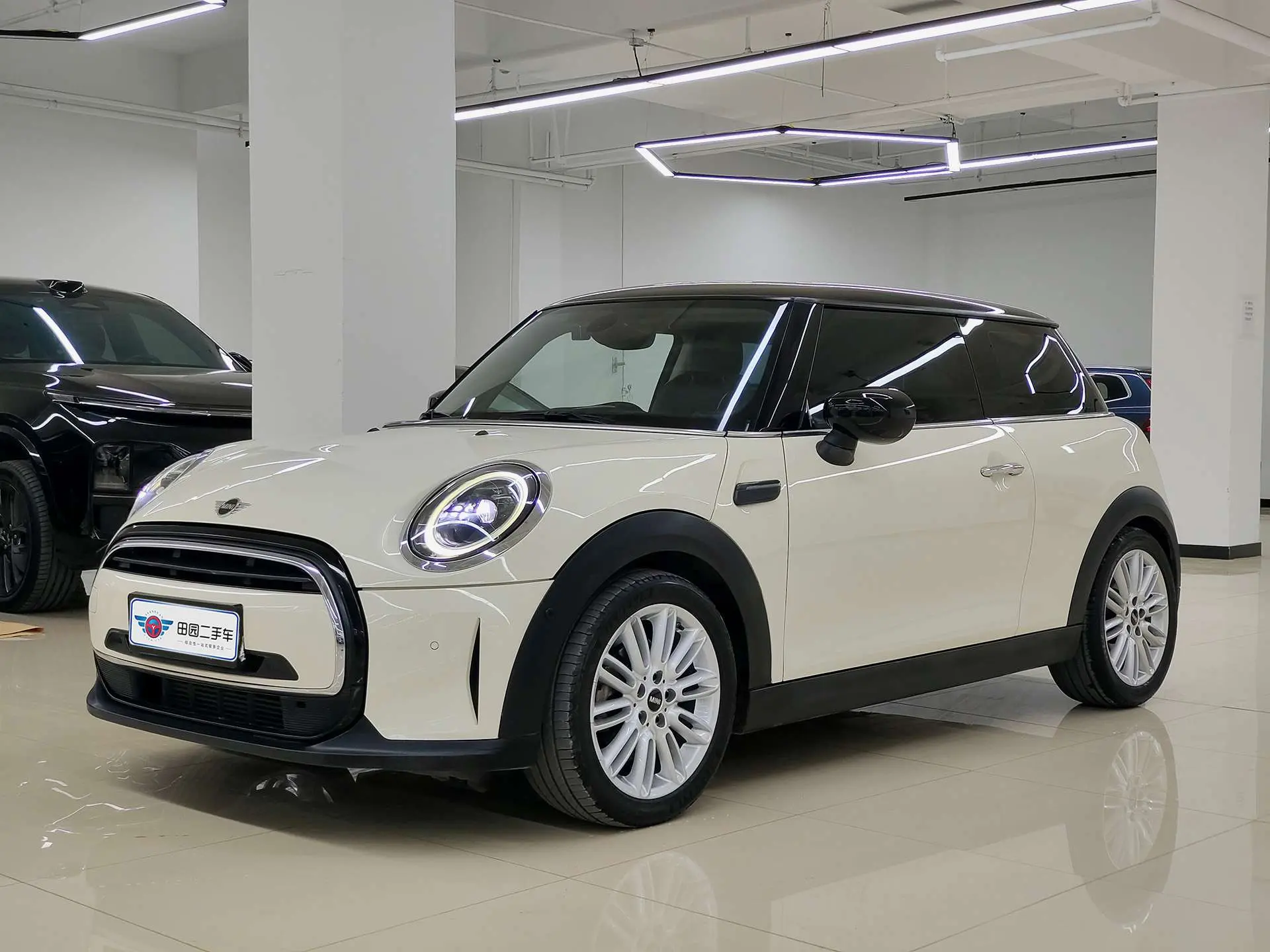 MINI MINI