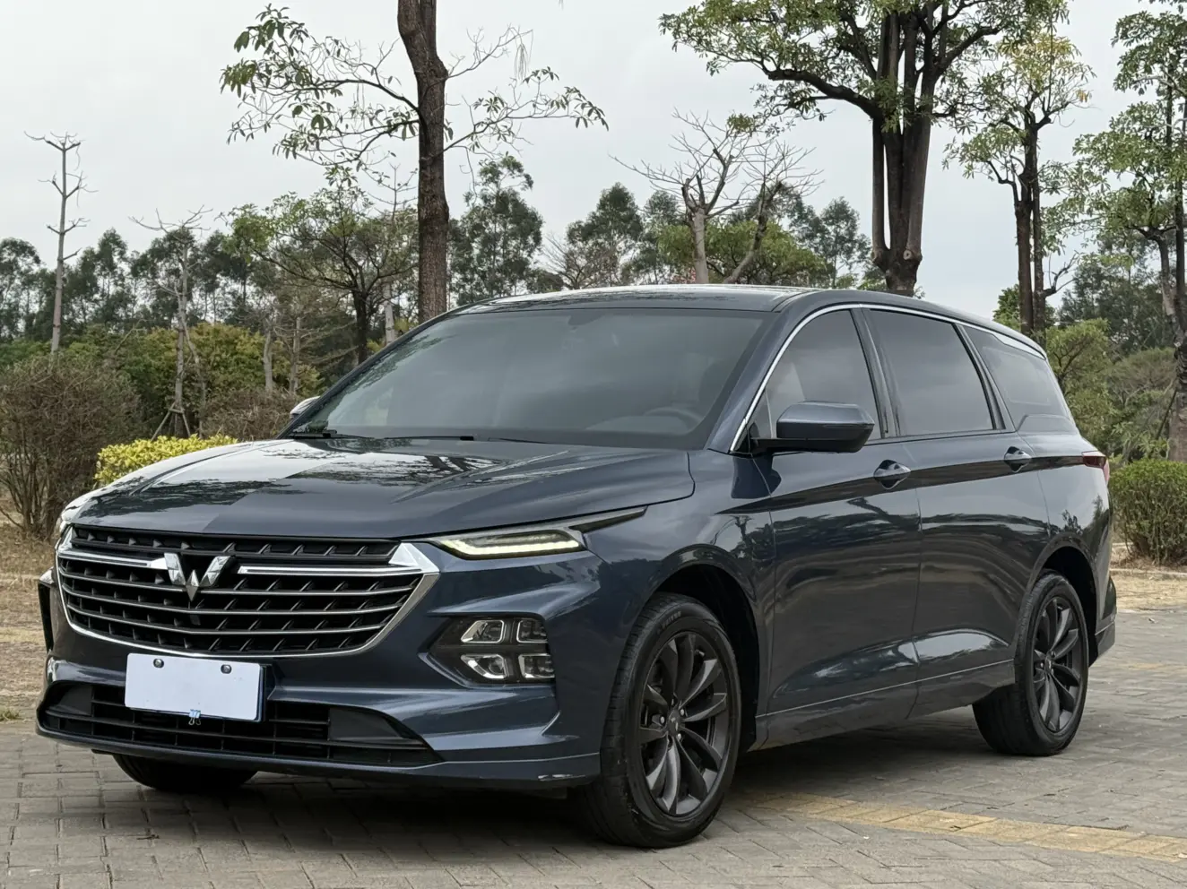 Wuling Capgemini Victory  из Китая